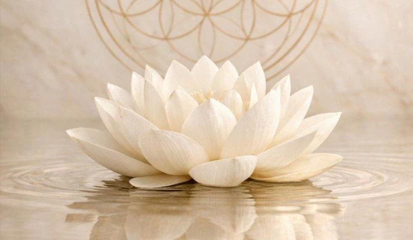 Terapias Alternativas